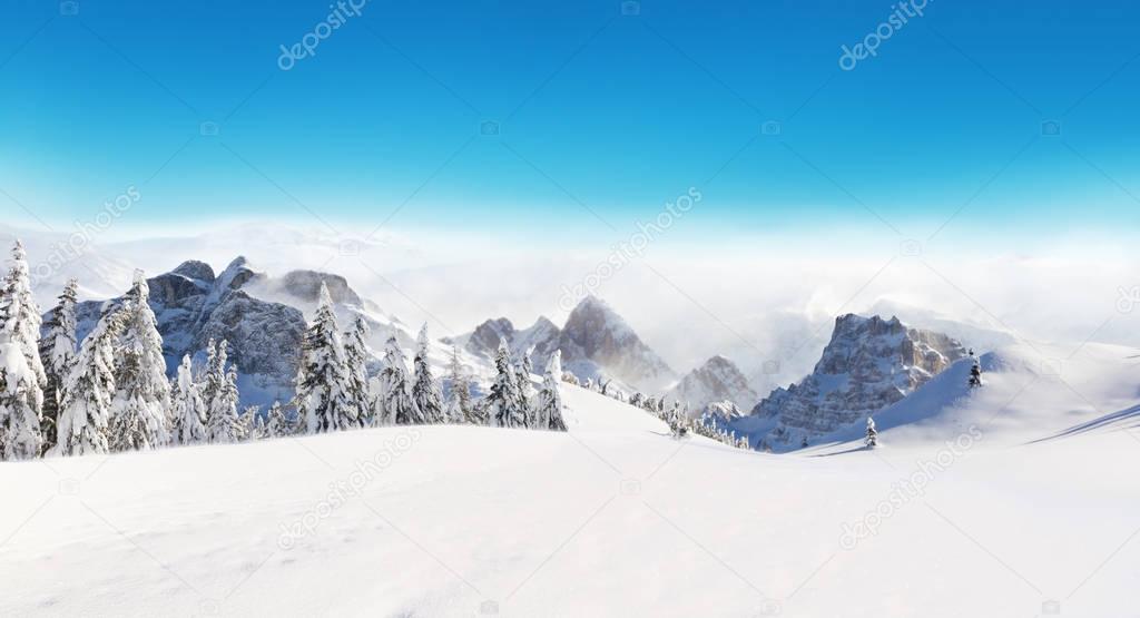 Beautiful winter landscape with trees