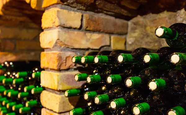 Many bottles in wine cellar — Stock Photo, Image