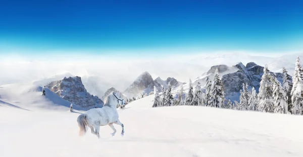 Cavalo branco correndo na paisagem de inverno — Fotografia de Stock