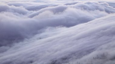 Bulutların üzerinde orman