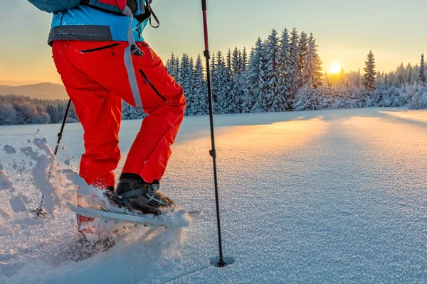 Dettaglio di escursionista di ciaspole in montagna — Foto Stock