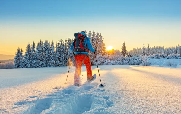 Schneeschuhwanderer läuft im Pulverschnee — Stockfoto
