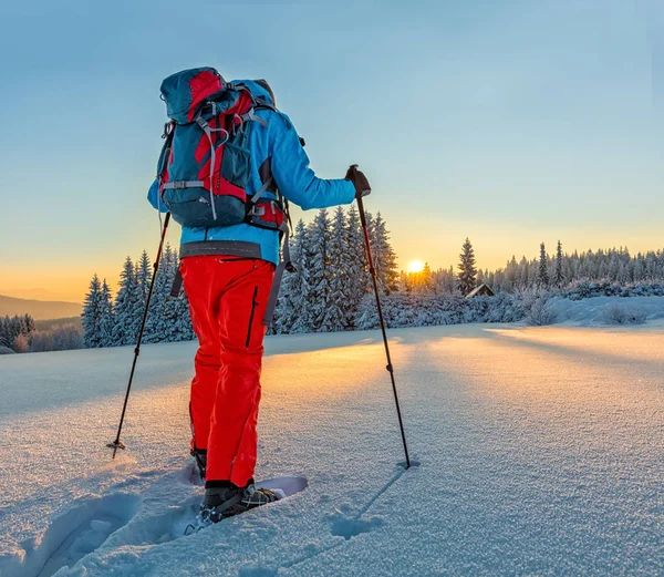 Caminhante sapato de neve correndo na neve em pó — Fotografia de Stock