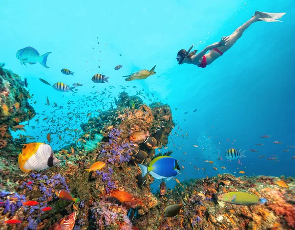 Beautiful coral reef with young freediver woman — Stock Photo, Image