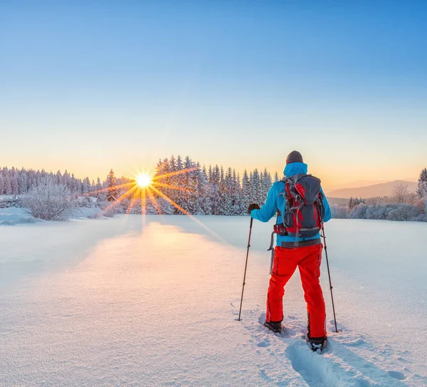 Schneeschuhwanderer läuft im Pulverschnee — Stockfoto