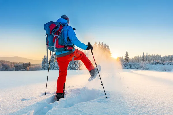 Caminhante sapato de neve correndo na neve em pó — Fotografia de Stock