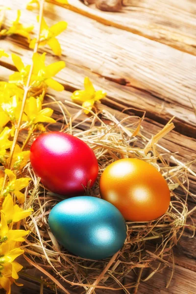 Ovos de Páscoa em ninho colocados em tábua de madeira — Fotografia de Stock