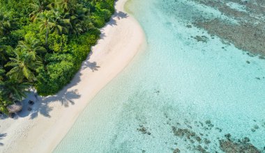 Tropikal Beach güzel havadan görünümü