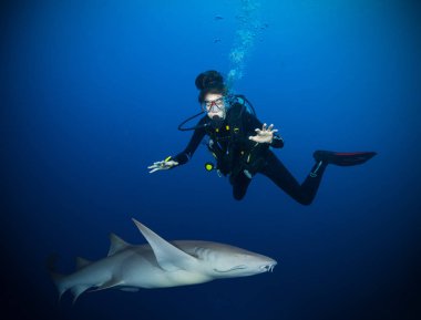 Kadın dalgıç köpekbalığı ile sualtı fotoğraf