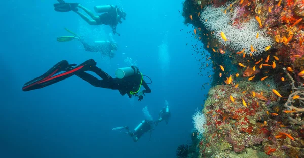 Grupo de buceadores explorando arrecifes de coral —  Fotos de Stock