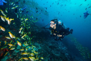 Kadın dalgıç deniz alt keşfetmek