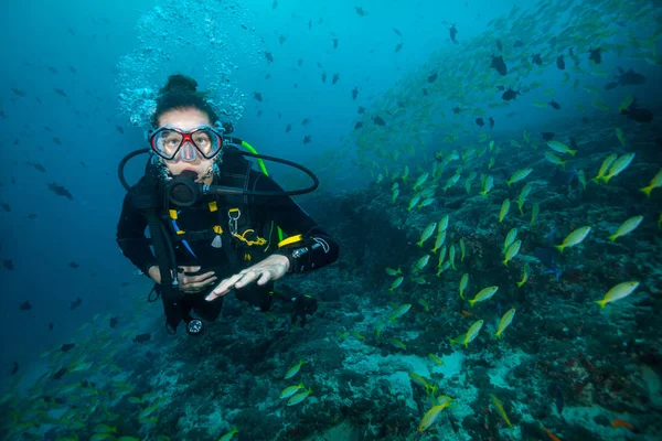 Женщина-ныряльщик, исследующая морское дно — стоковое фото
