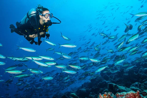 Жінка підводний дайвер досліджує морське дно — стокове фото