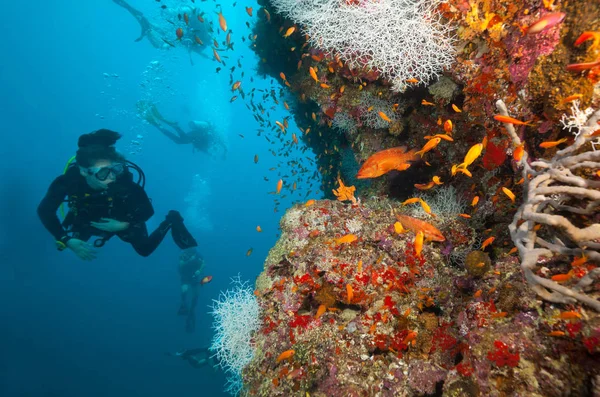 Mujer buceadora explorando el fondo del mar —  Fotos de Stock
