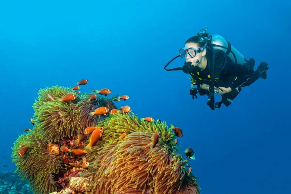 Mujer buceadora explorando peces claun — Foto de Stock