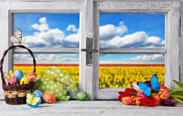 Osterfarbene Dekoration auf Holzfenster — Stockfoto