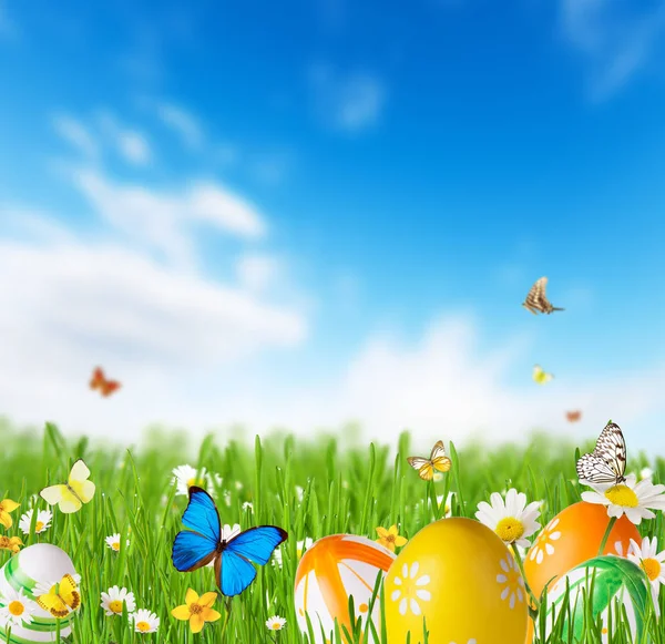 Colored easter eggs in grass with sky background — Stock Photo, Image