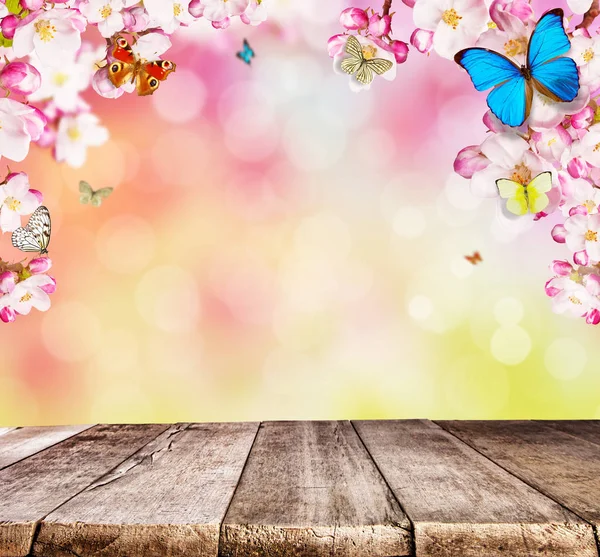 Flores de cerezo con mariposas y tablones de madera —  Fotos de Stock