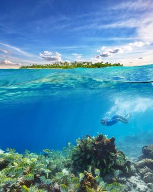 Şnorkel ve mercan keşfetmek genç kadın