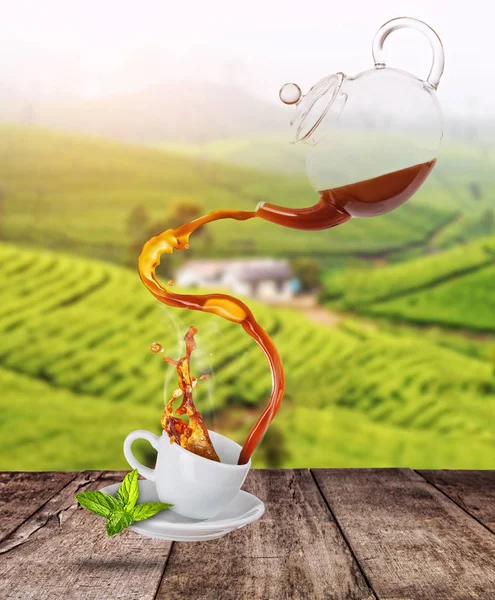 Schwarzer Tee aus der Teekanne in weiße Porzellantasse spritzen. grüne Plantage im Hintergrund — Stockfoto