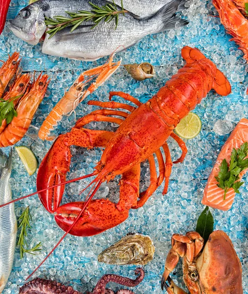 Molti tipi di frutti di mare, serviti su ghiaccio tritato — Foto Stock