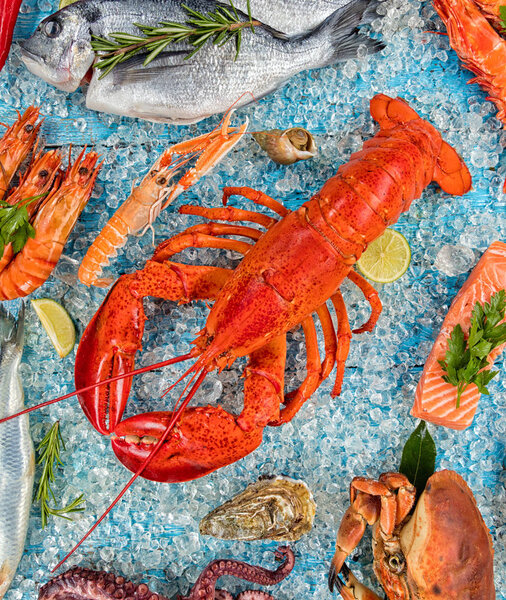 Many kind of seafood, served on crushed ice