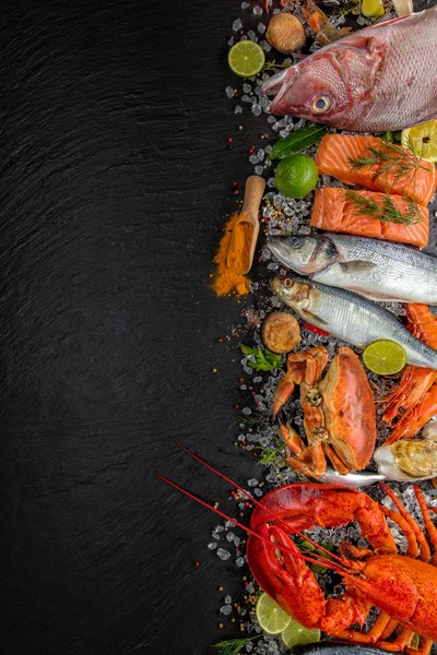 De nombreux fruits de mer, servis sur glace concassée — Photo