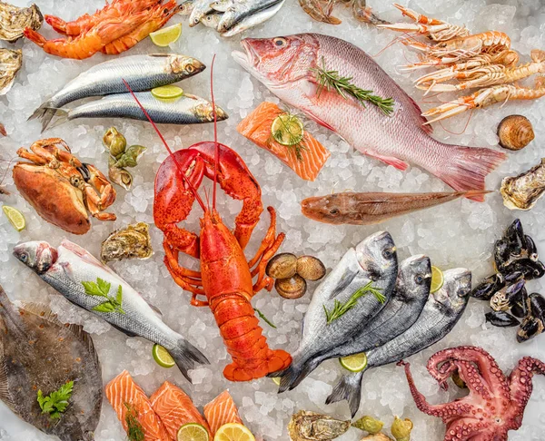 Ezilmiş buz üzerinde servis deniz ürünleri, birçok tür