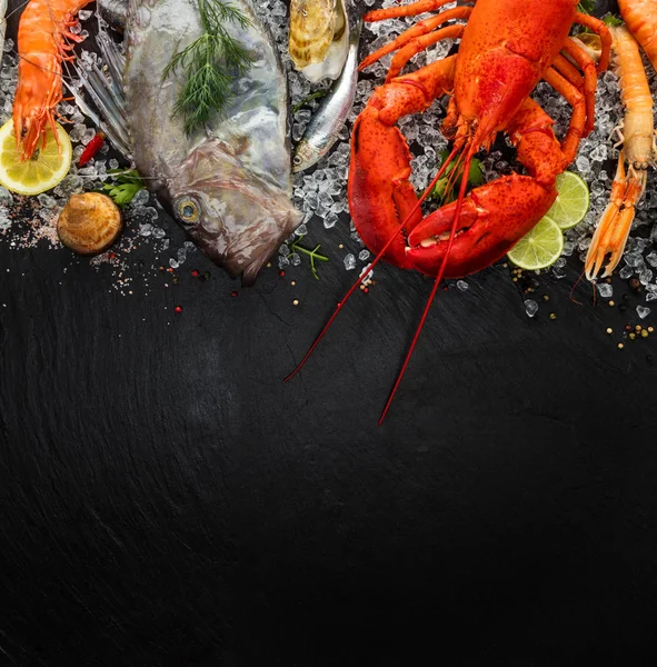 Muitos tipos de frutos do mar, servidos em gelo picado — Fotografia de Stock