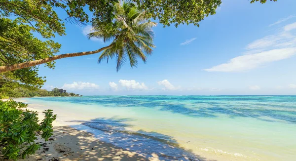 Krásná pláž Seychely, ostrov La Digue — Stock fotografie