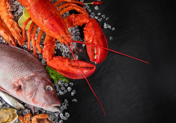 De nombreux fruits de mer, servis sur glace concassée et ardoise noire — Photo