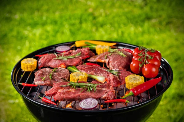 Carne fresca e verdure alla griglia poste sull'erba — Foto Stock