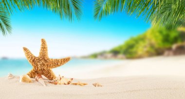Tropik sahilde kum, yaz tatil arka plan deniz yıldızı ile.
