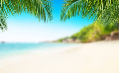 Kum, yaz tatil arka plan ile tropikal plaj.