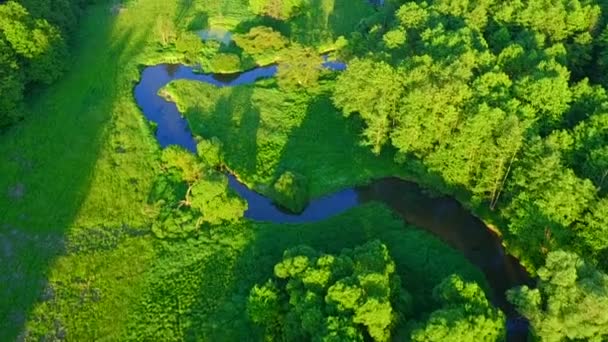 Aerial river flight — Stock Video