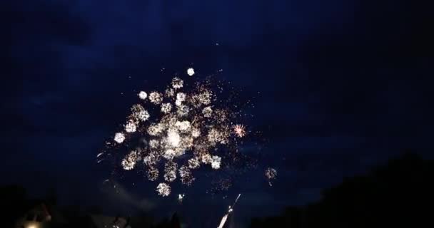 Firewors 爆炸在夜间的镜头 — 图库视频影像