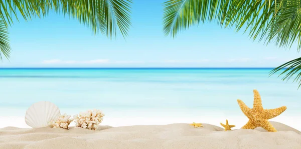 Tropisch strand met ster van de zee op zand, zomer vakantie achtergrond. — Stockfoto