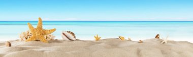 Tropik sahilde kum, yaz tatil arka plan deniz yıldızı ile.