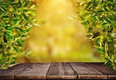 Zeytin dalı ile ahşap masa etrafında, hazır ürün için boş