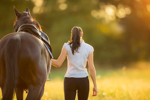 Rückansicht einer jungen Frau, die mit ihrem Pferd im Abendsonnenuntergang geht — Stockfoto