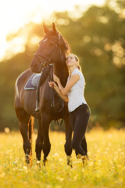Молодая женщина с лошадью на закате солнца — стоковое фото