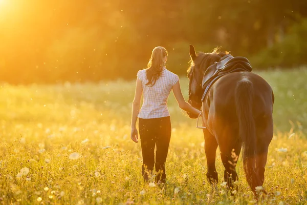 Visão traseira da jovem caminhando com seu cavalo no pôr do sol da noite — Fotografia de Stock