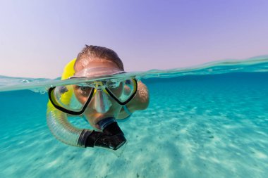 Snorkeling woman exploring beautiful ocean sealife clipart