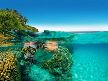 Şnorkel kadın güzel okyanus sealife keşfetmek
