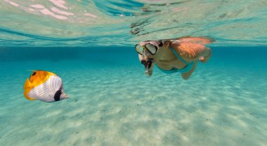 Şnorkel kadın güzel okyanus sealife, sualtı p keşfetmek