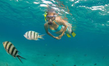 Şnorkel kadın güzel okyanus sealife, sualtı p keşfetmek