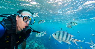 Adam dalgıç sealife keşfetmek ile balık sürüsü