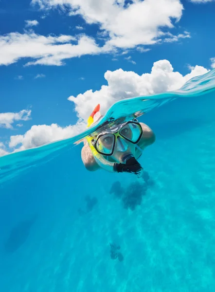 Снорклінг жінка досліджує красивий океанський морський коник — стокове фото