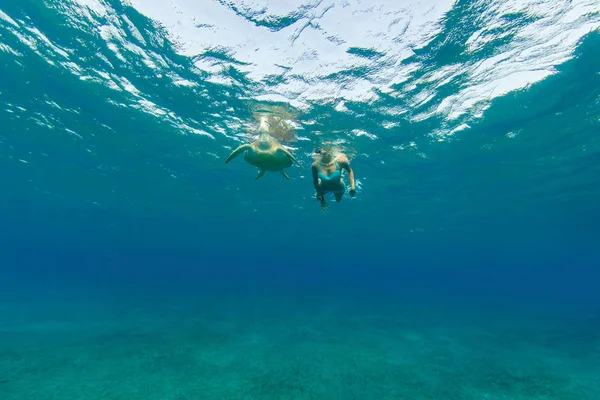 Schnorchelnde Frau mit Falkenschildkröte, Unterwasserfotografie. — Stockfoto
