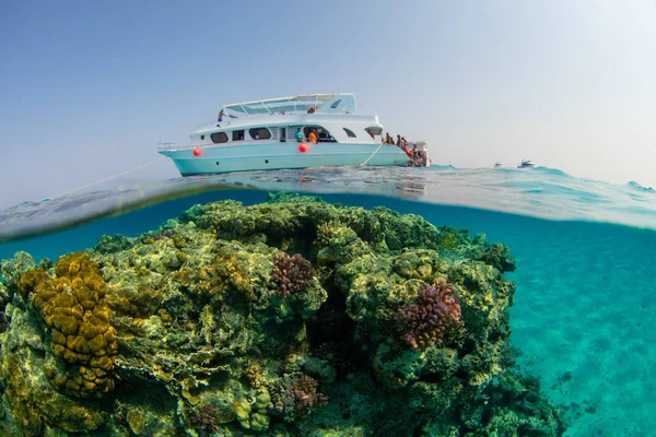 Malé safari loď s snorkelists připravena ke skoku do vody — Stock fotografie